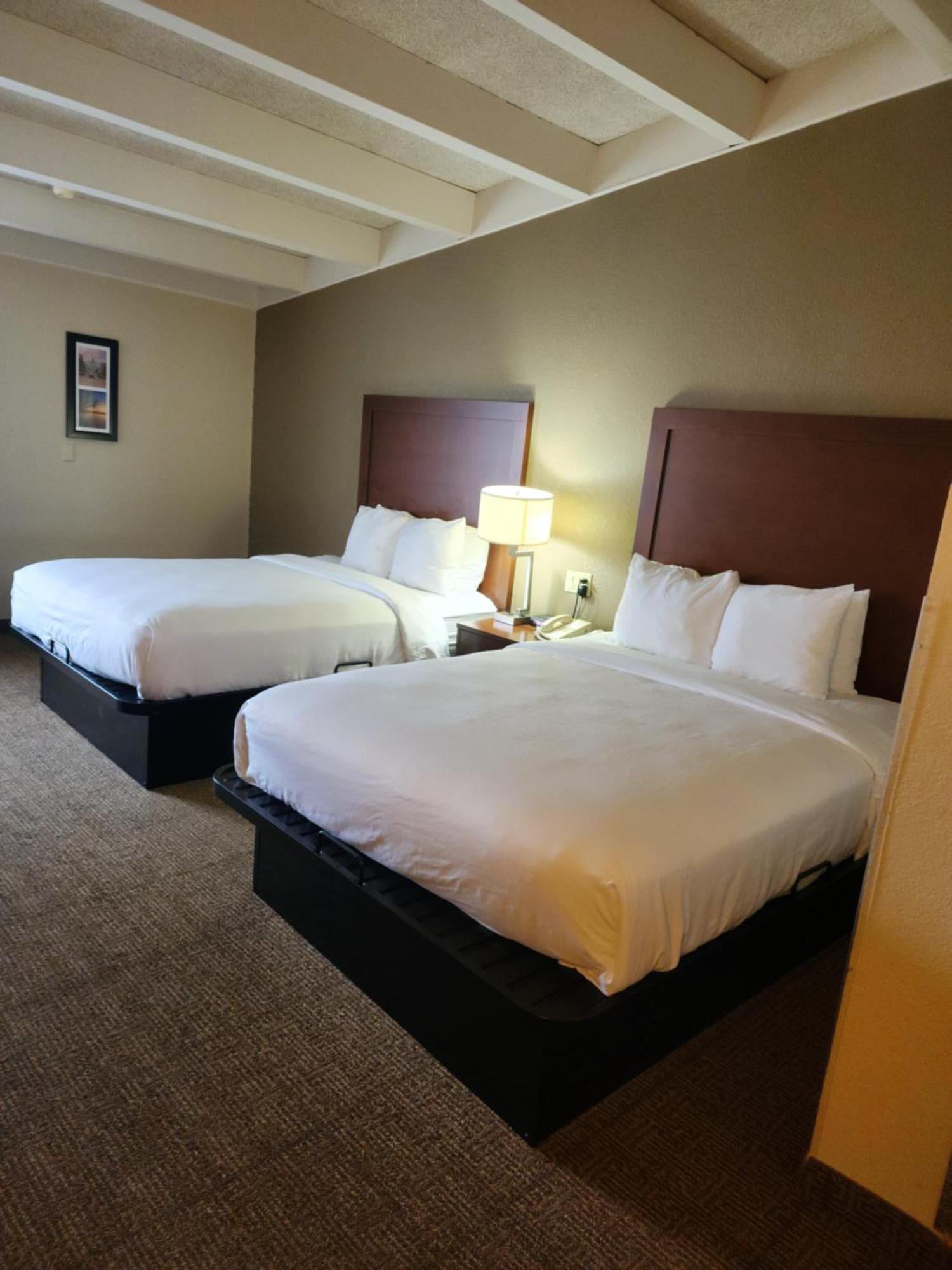 Comfort Inn & Suites Madison - Airport Екстер'єр фото