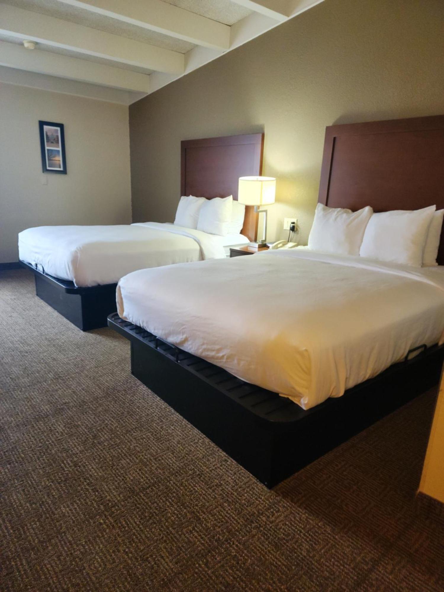 Comfort Inn & Suites Madison - Airport Екстер'єр фото